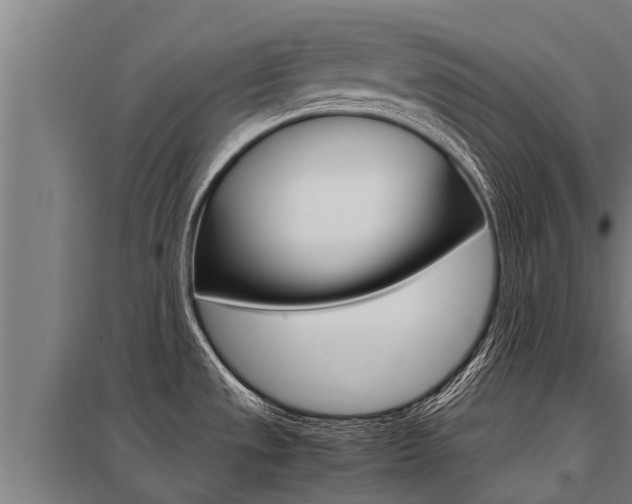 X0000098041533200803280742