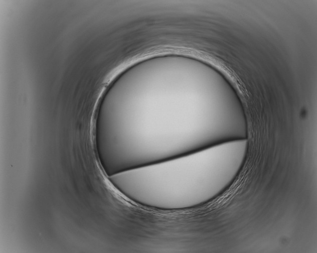X0000098041535200803280742