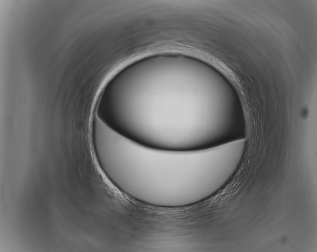 X0000098041536200803280742