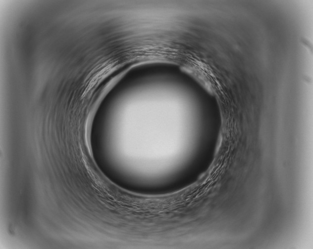 X0000098040001200803281442