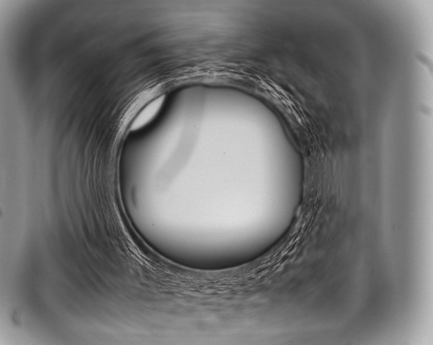 X0000098040003200803281442