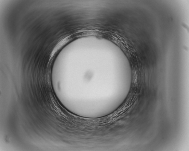X0000098040004200803281442