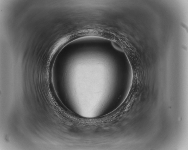 X0000098040006200803281442