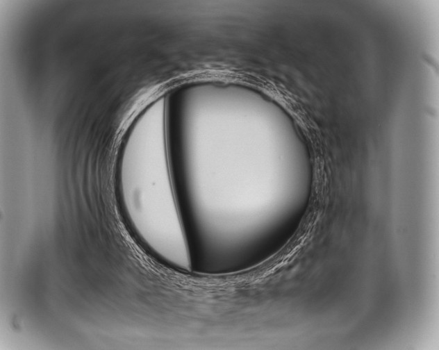 X0000098040007200803281442