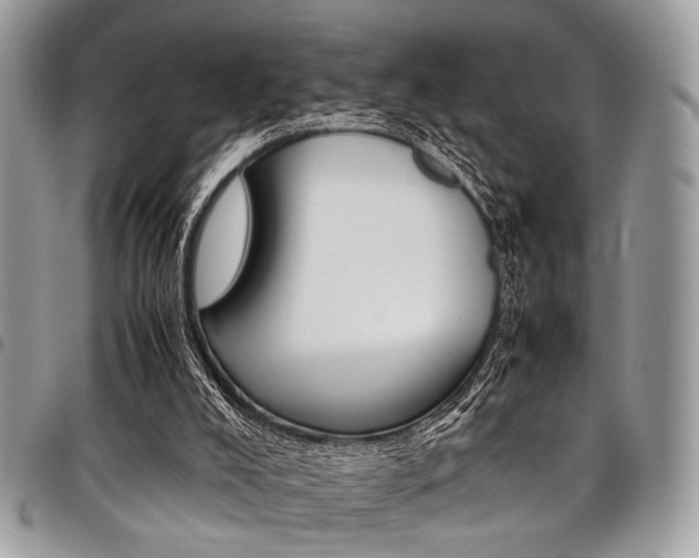 X0000098040008200803281442