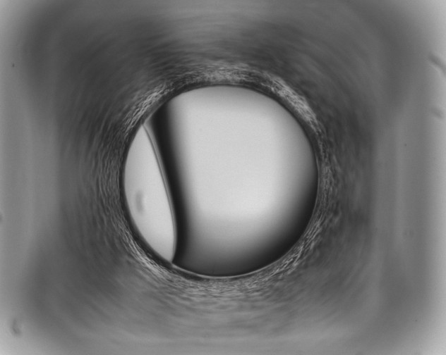 X0000098040009200803281442