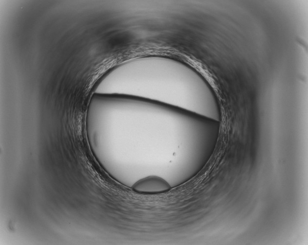 X0000098040010200803281442