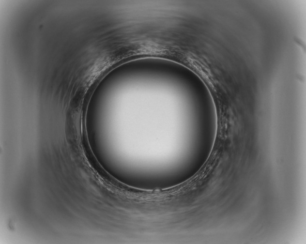 X0000098040011200803281442