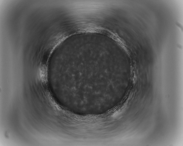 X0000098040012200803281442