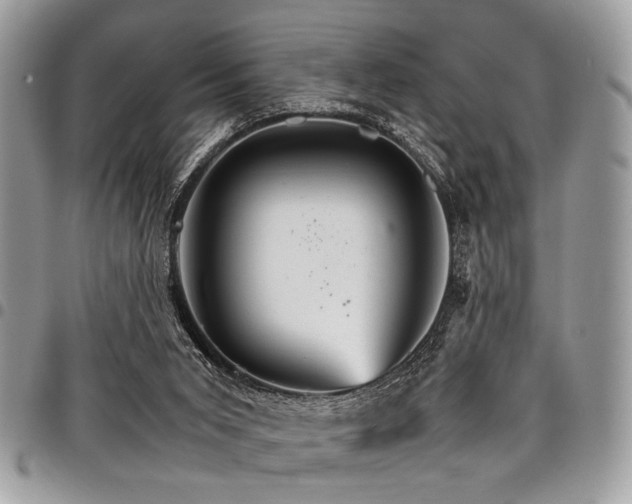 X0000098040015200803281442