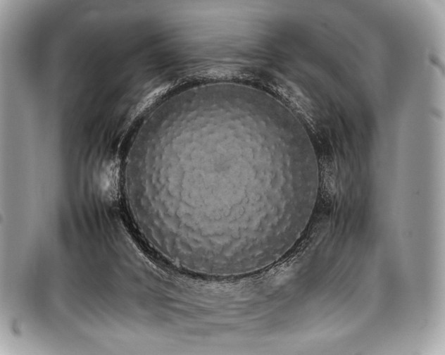 X0000098040016200803281442