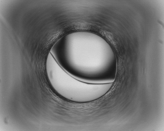 X0000098040017200803281442