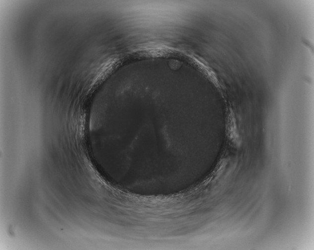 X0000098040018200803281442
