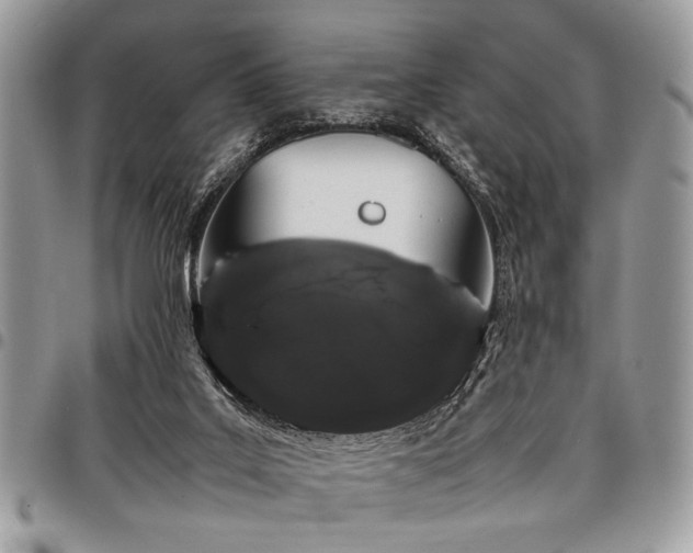 X0000098040019200803281442