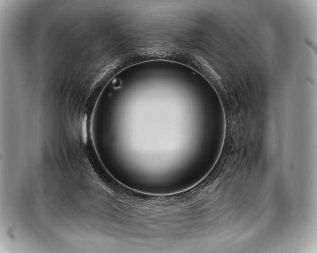 X0000098040020200803281442