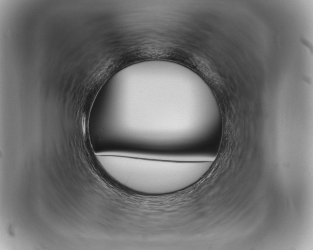 X0000098040021200803281442