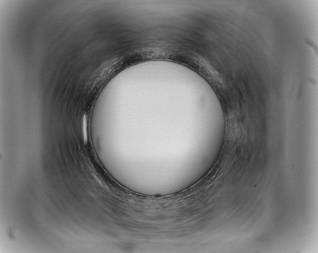 X0000098040022200803281442