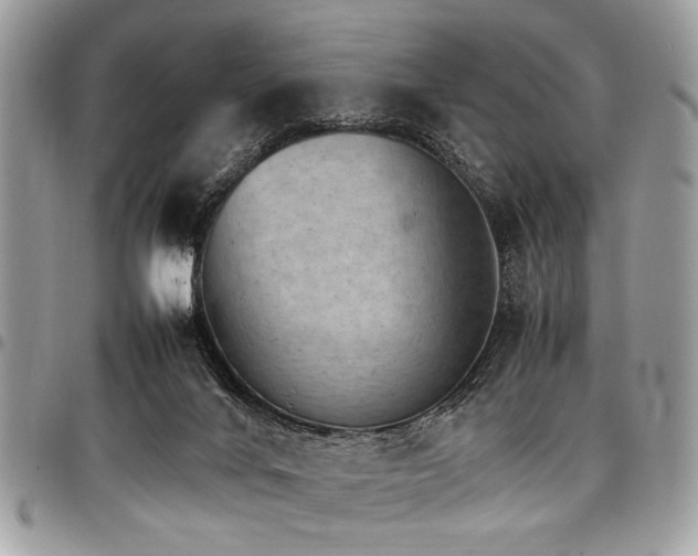 X0000098040024200803281442
