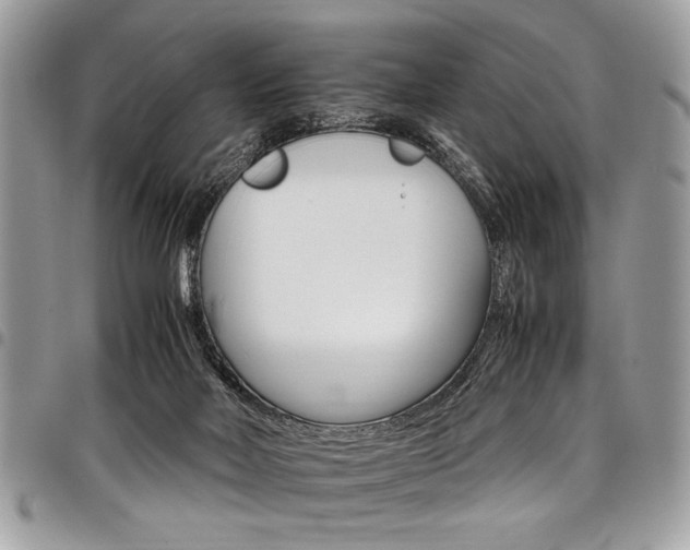 X0000098040026200803281442