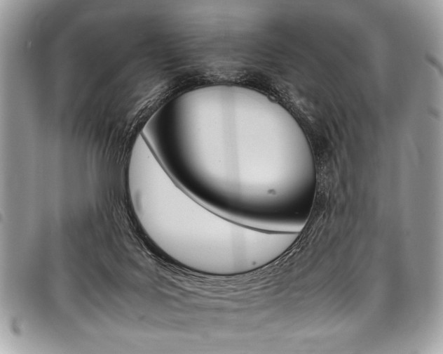 X0000098040027200803281442