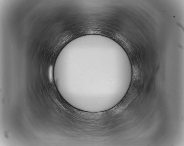 X0000098040028200803281442
