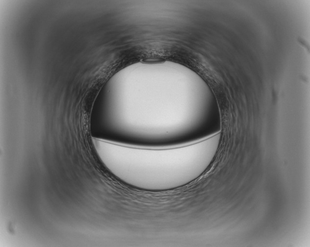 X0000098040029200803281442