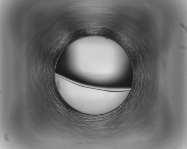X0000098040031200803281442