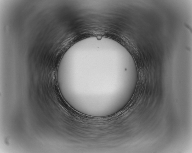 X0000098040032200803281442