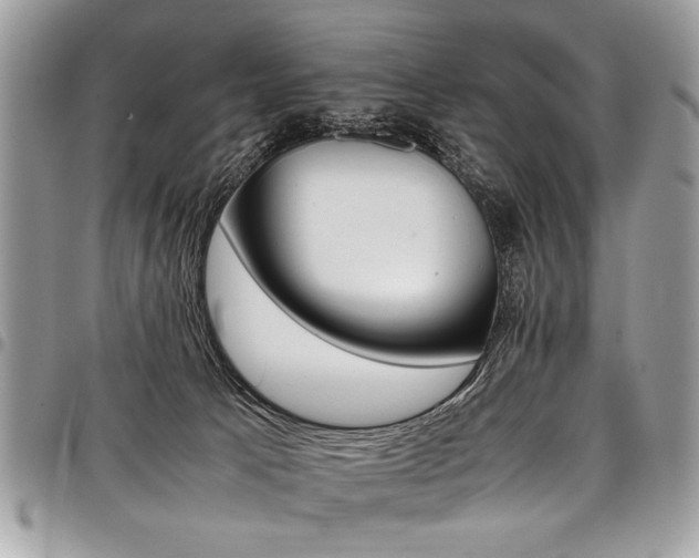 X0000098040033200803281442
