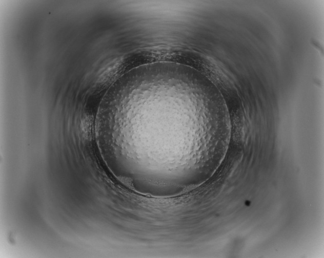 X0000098040034200803281442