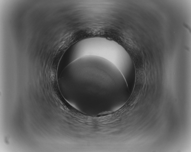 X0000098040039200803281441