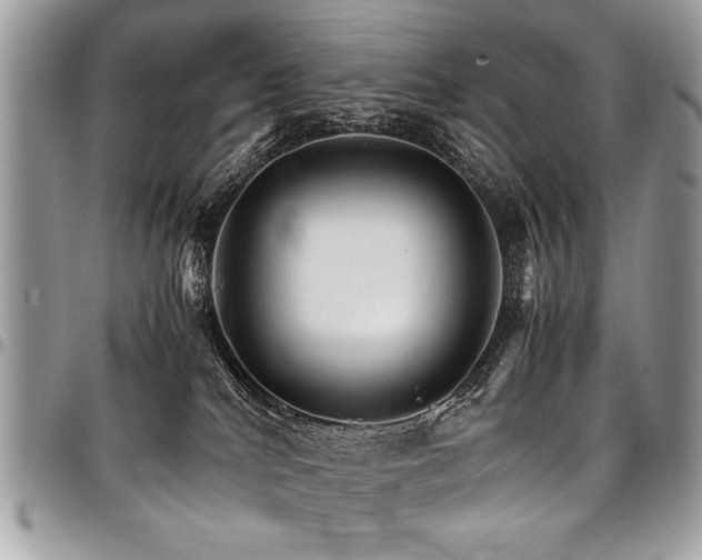 X0000098040040200803281441