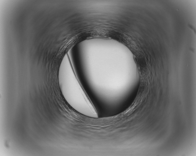 X0000098040045200803281441
