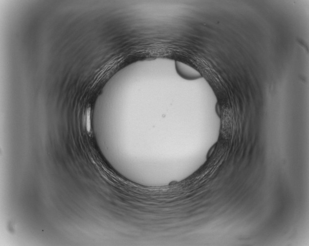 X0000098040046200803281441