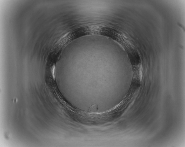 X0000098040047200803281441