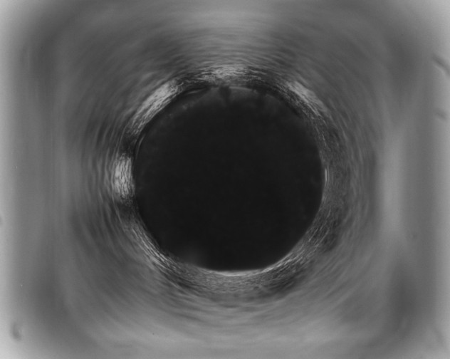 X0000098040048200803281441