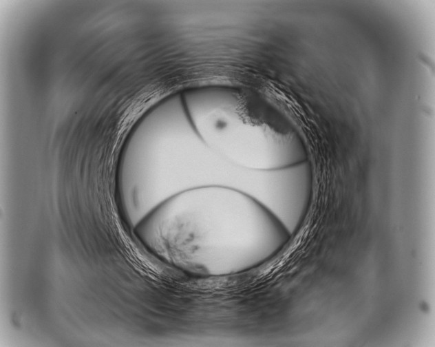 X0000098040049200803281441