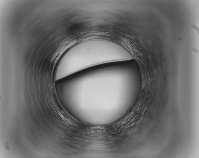 X0000098040050200803281441