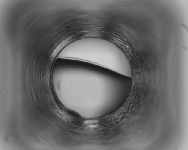 X0000098040051200803281441