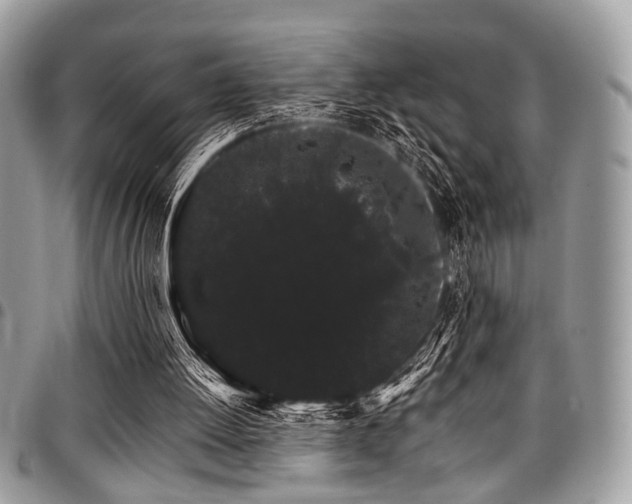 X0000098040052200803281441