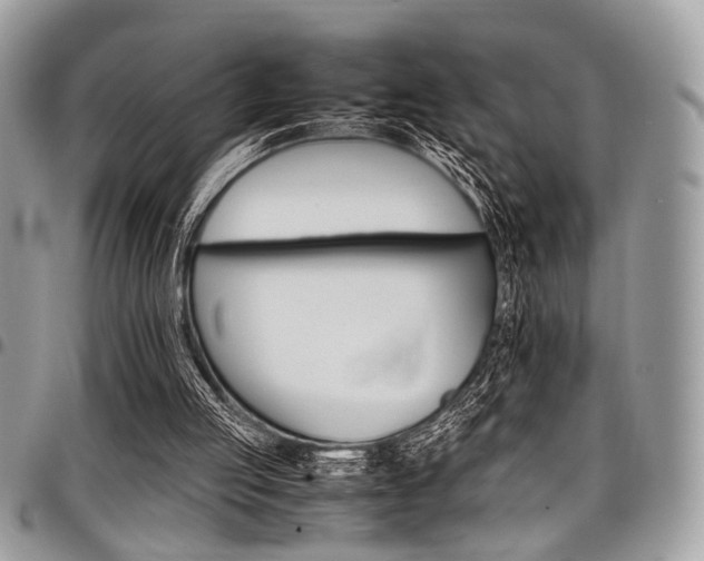 X0000098040053200803281441