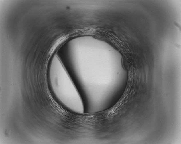 X0000098040054200803281441