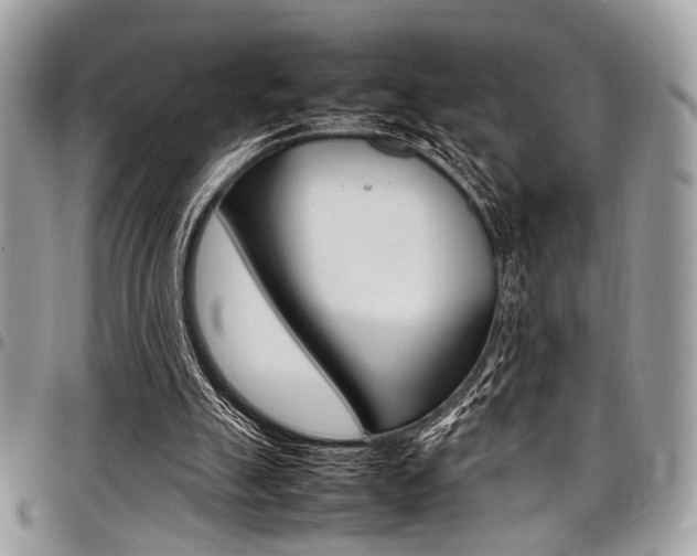 X0000098040055200803281441