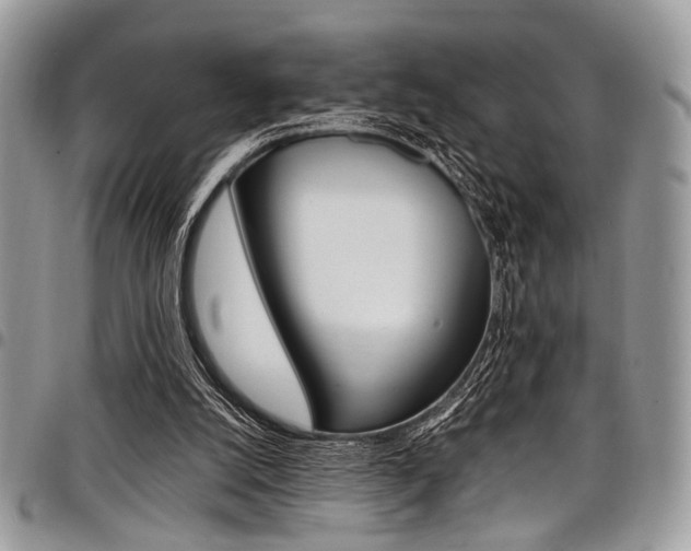 X0000098040056200803281441
