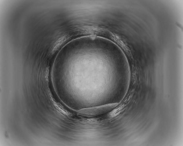X0000098040058200803281441