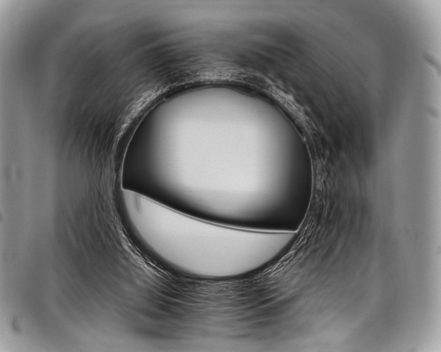 X0000098040060200803281441