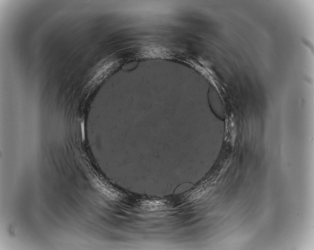 X0000098040061200803281441