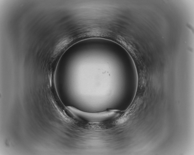 X0000098040062200803281441