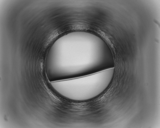 X0000098040063200803281441