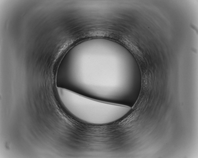 X0000098040064200803281441